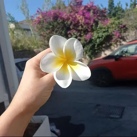 Terrazza Mare Mondello Проживание в семье Палермо