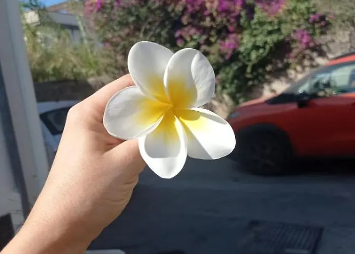 Terrazza Mare Mondello منزل للإقامة باليرمو